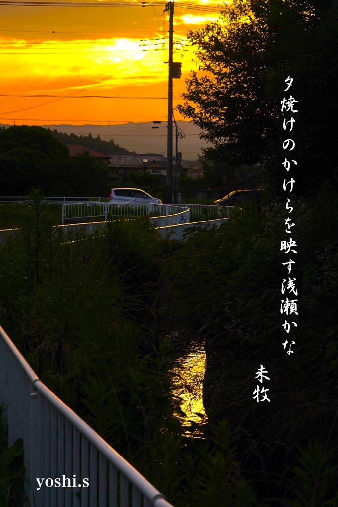 写真句 夕焼けの散歩道