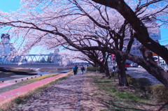 春のうららの桜川１