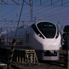 写真エッセイ：・・・たち
