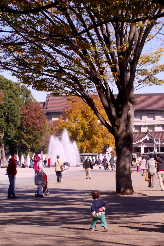 公園散歩３：東京国立博物館前広場１