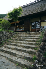 写真エッセイ：冠雪の富士 Photo Trip14：根場３：石段