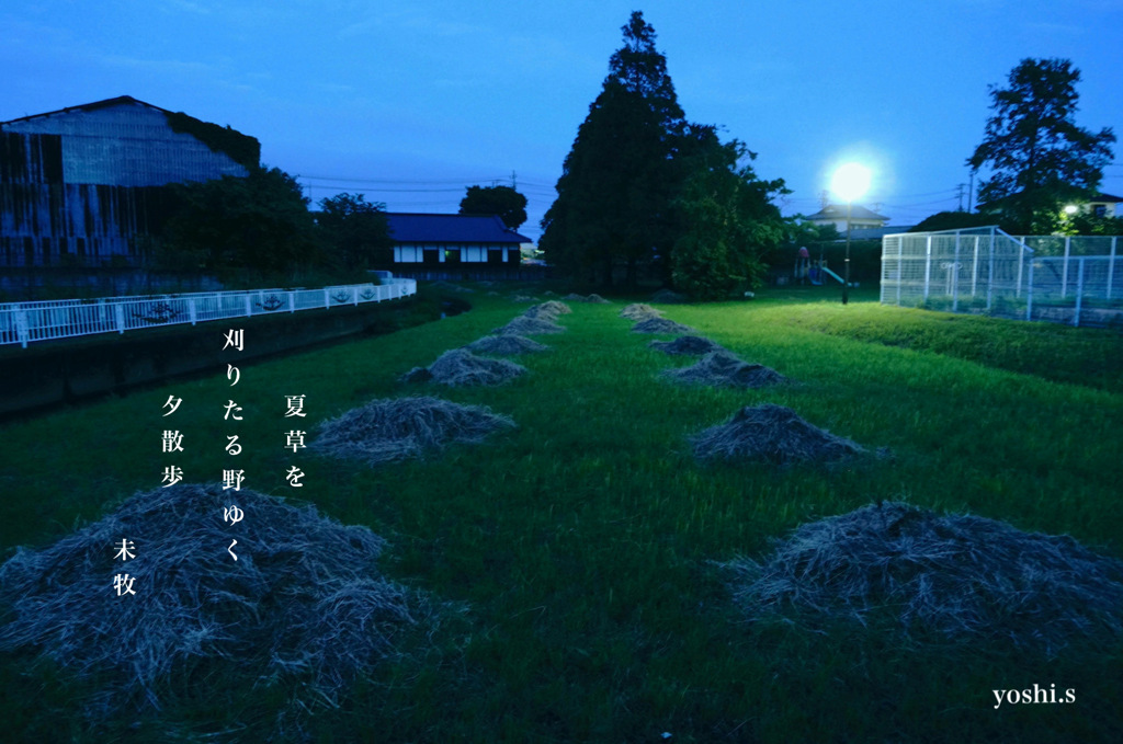 写真句：夕散歩３