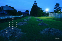 写真句：夕散歩３