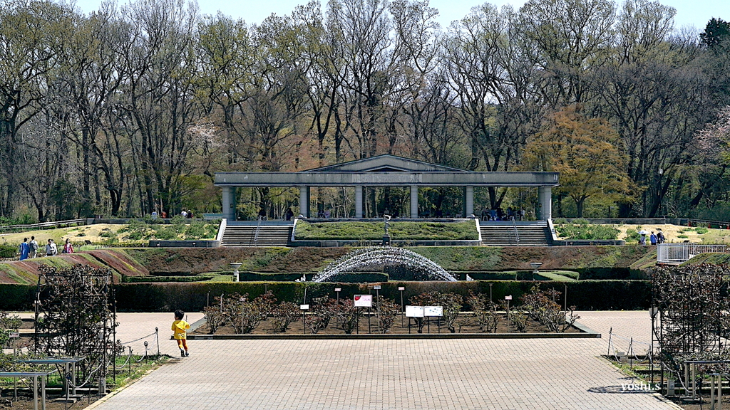 写真エッセイ：東京24：神代植物公園１