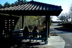 写真句：写真エッセイ：海へ：四阿（あずまや）