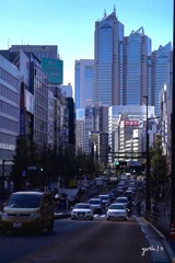 写真エッセイ：At Tokyo９：新宿摩天楼