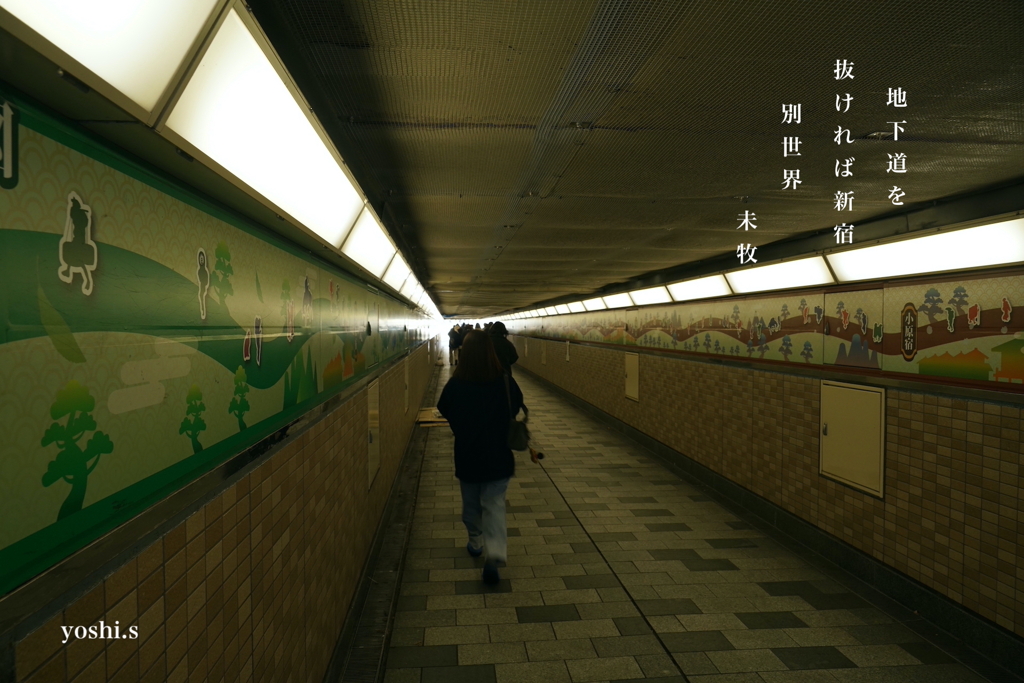 写真句：新宿10：東西の地下道