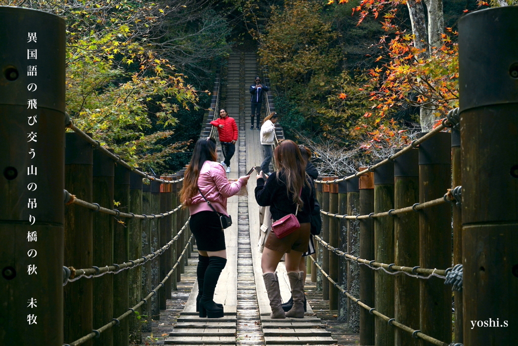 写真句：花貫渓谷紅葉狩り2025：紅葉の吊り橋２