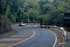 写真エッセイ：陸前浜街道23 北方面：びんずる坂７：NTE186