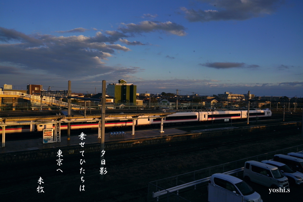 写真句：夕日影