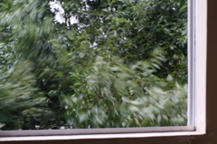 窓の外は風