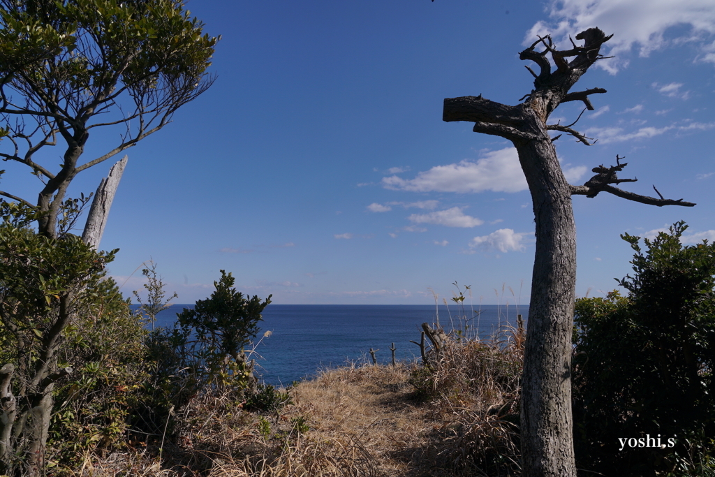 写真エッセイ：高戸山縦走記３