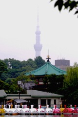 東京散歩Ⅲ：不忍池３／弁天堂とスカイツリー