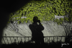 写真エッセイ：風に揺れる自分の影を撮る男の影