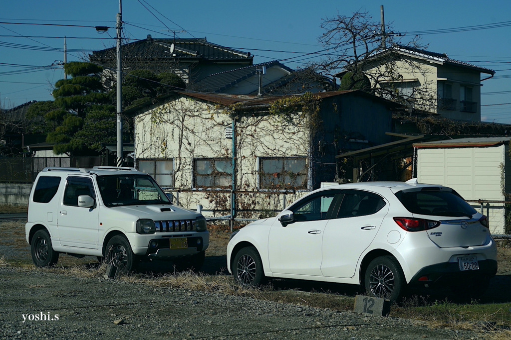 写真エッセイ：面と向かって１