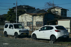 写真エッセイ：面と向かって１