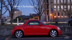 写真句：Merry Christmas to you!!