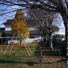 写真句：晩秋の日影１：NTW465