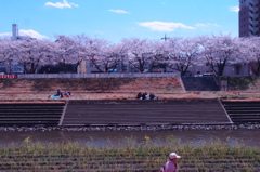 春のうららの桜川4