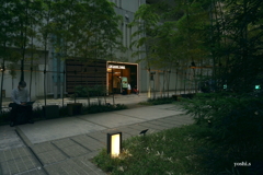 写真エッセイ： 東京散歩16：京橋11：ビルの谷間