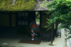 写真エッセイ：冠雪の富士 Photo Trip15：根場４：跨ぐ