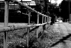 写真句：いつもの道：B＆W15