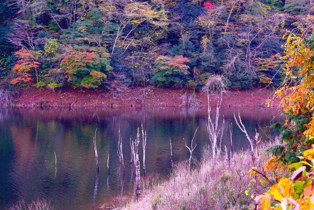 花貫紅葉２：写真句