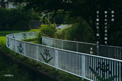 写真歌：夕散歩７：一期一会