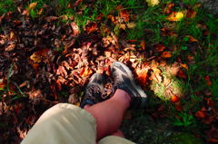 夏の記憶４：落ち葉