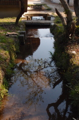 春の小川