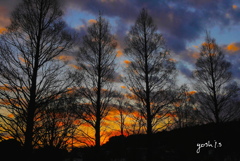 写真歌：初春の夕暮れ：NTW225