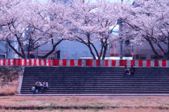 春のうららの桜川２