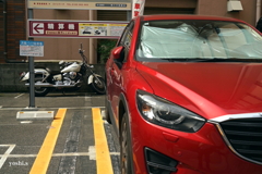写真指編：Red and White