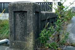 写真エッセイ：玉川橋１