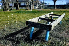 写真句：Shadow３：壊れベンチ