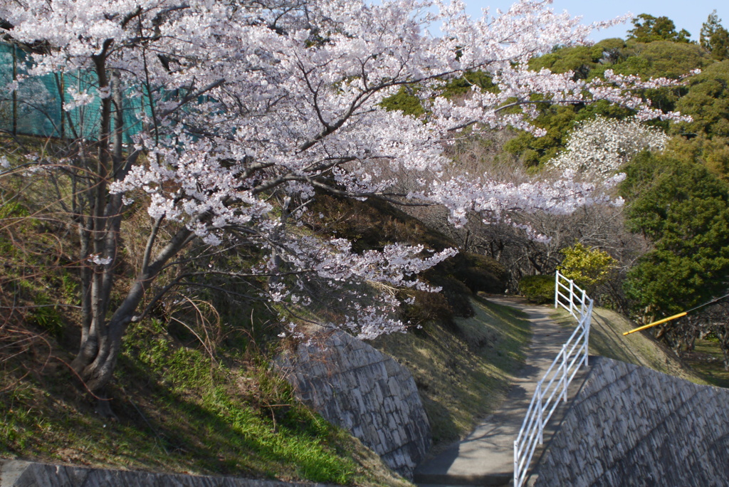 高校の坂道１