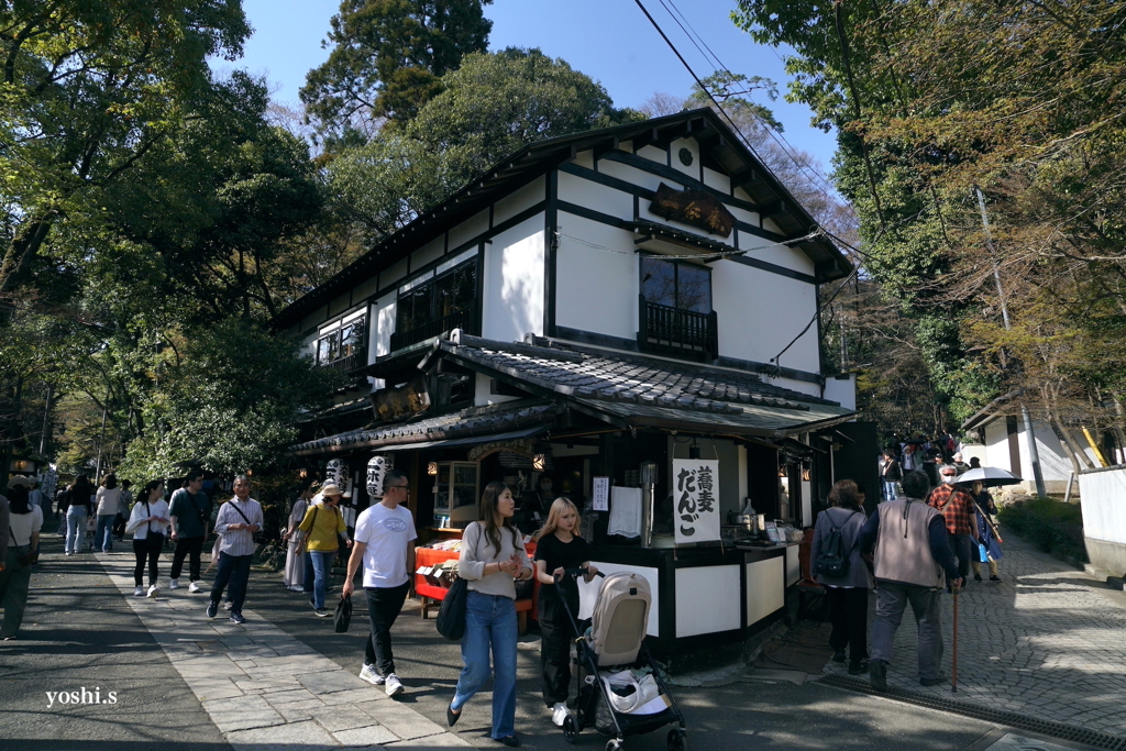 写真エッセイ：東京26：深大寺参道