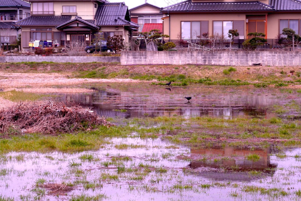 水ぬるむ