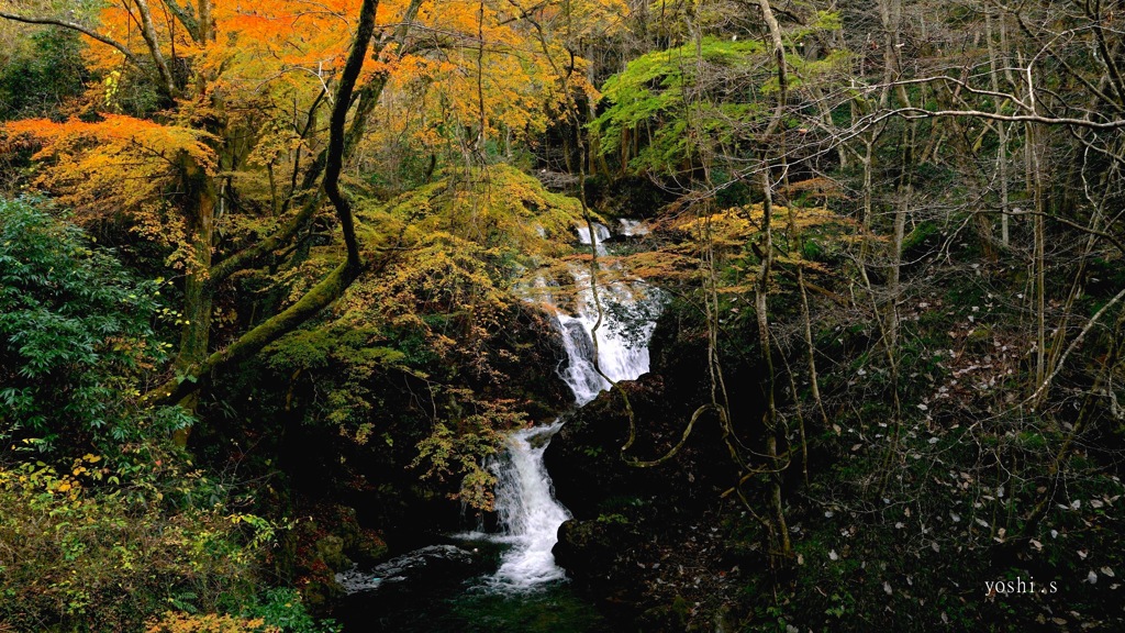 写真エッセイ：道端の滝