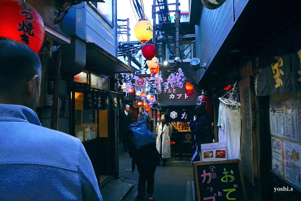 写真エッセイ：東京19：新宿６：〇〇横丁３