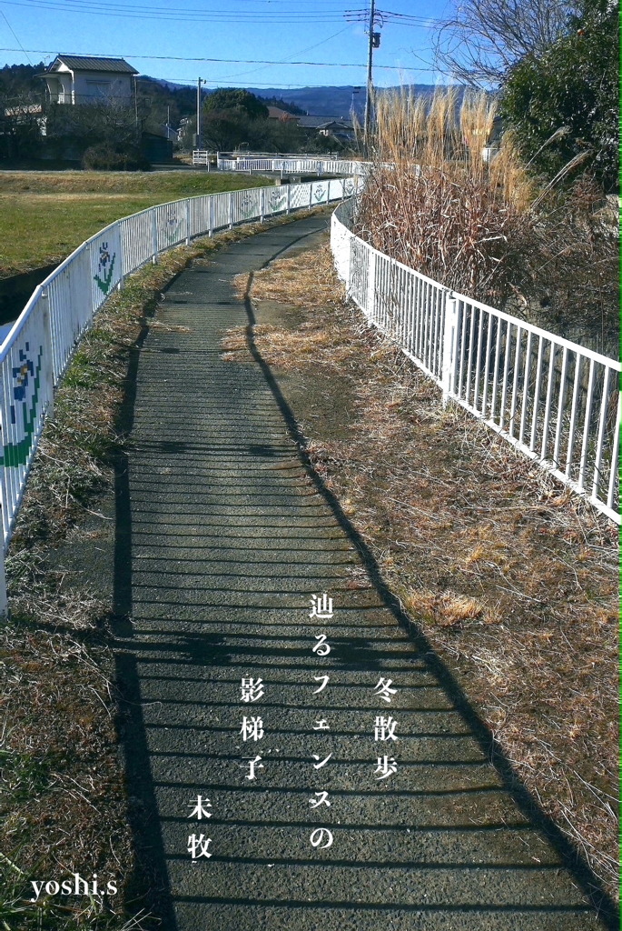 写真句：Shadow４：影梯子：NTW562