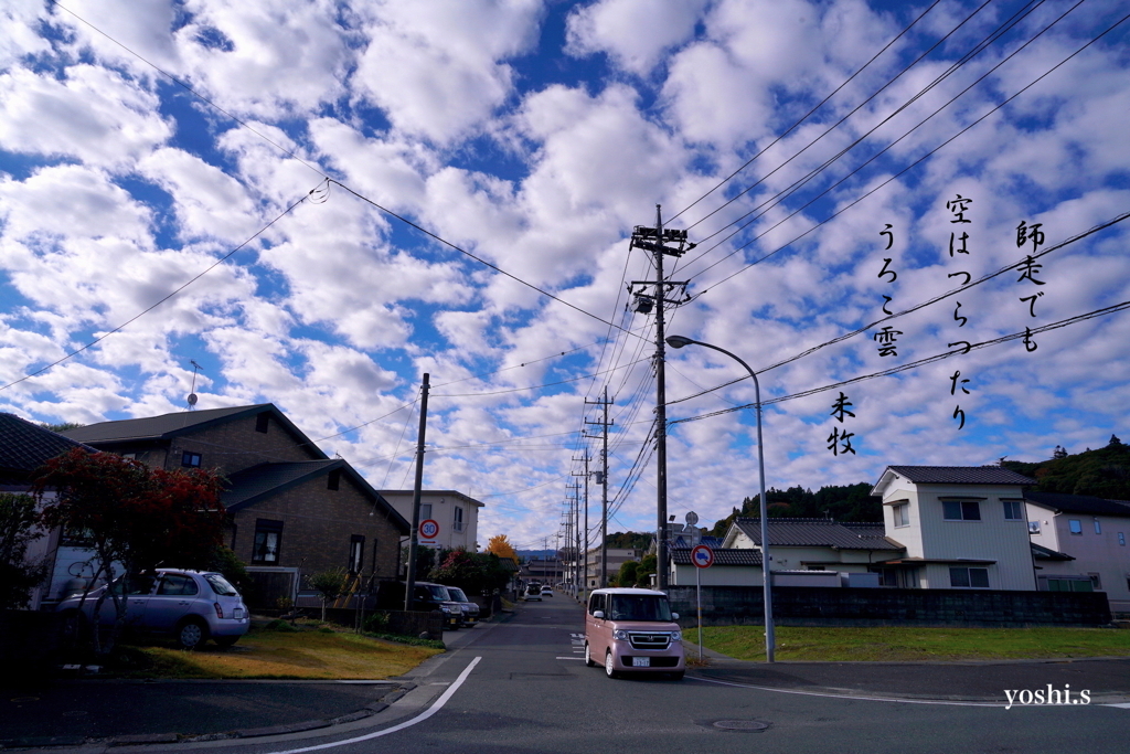 写真句：うろこ雲：NTW469