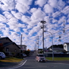 写真句：うろこ雲：NTW469