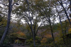 秋彩番外：小滝沢キャンプ場