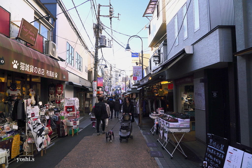 写真エッセイ：東京散歩18：谷中８：谷中銀座１