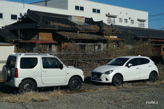 写真エッセイ：面と向かって２