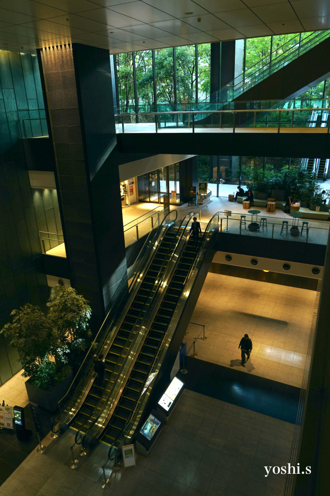 写真エッセイ：東京で２