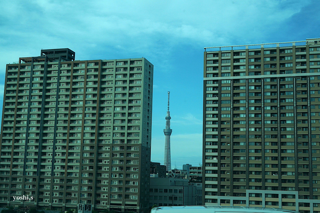 写真エッセイ：東京散歩６：スカイツリー１