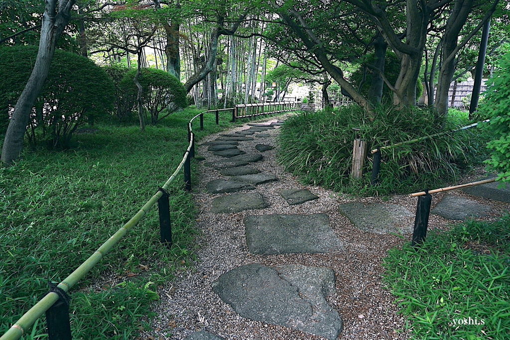 写真エッセイ：公園１：小道１