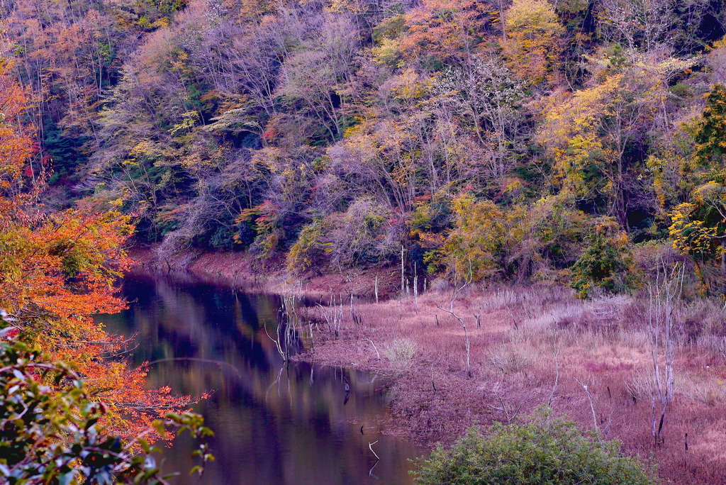 花貫紅葉１：写真句